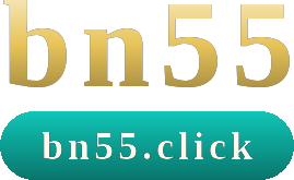 bn55 logo